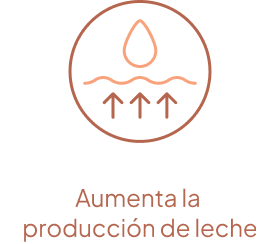 Aumenta la producción de leche