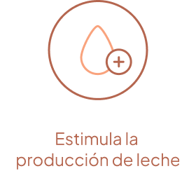 Estimula la producción de leche