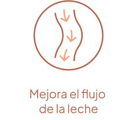 Mejora el flujo de la leche
